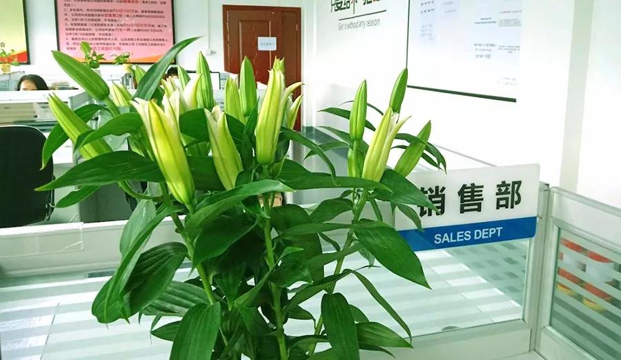 濃情七夕，最美祝福！
